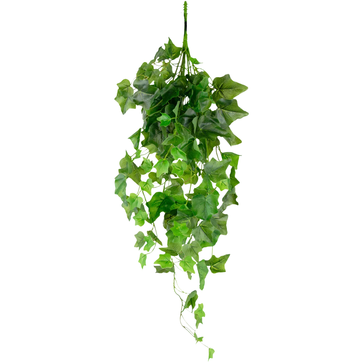 Edera artificiale su stelo, verde-bianco, 70cm - Pianta rampicante/Edera decorativa