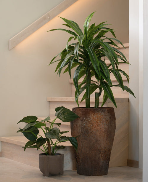 Una pianta artificiale alta Alocasia Cucullata UV 53 cm con foglie a forma di cuore in un grande vaso marrone con struttura e una pianta più bassa in un piccolo vaso grigio su una scala in legno chiaro contro una parete e una ringhiera beige neutro.