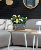 Un divano grigio con cuscini beige si trova dietro un tavolino in legno con la Pianta Artificiale Mini Rose UV 35 cm gialla; una piccola lampada bianca si trova su un tavolo più piccolo, con specchi a parete e decorazioni sullo sfondo.