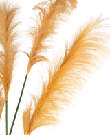 Tre steli ignifughi di erba di pampa artificiale di colore arancione dorato da 150 cm mostrano pennacchi leggeri come piume su uno sfondo bianco. Le texture morbide e delicate sono magnificamente valorizzate dall'illuminazione.