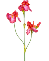 Il fiore artificiale Iris rosso da 102 cm ha uno stelo con tre vivaci fiori rosa e rossi con accenti gialli e bianchi. Gli steli verdi e i boccioli sono visibili su un semplice sfondo bianco.