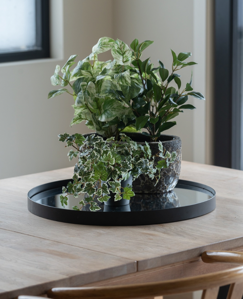 Su un tavolo di legno chiaro vicino alla finestra c'è un vassoio nero con tre edere artificiali Deluxe verde-bianco in vasi da 22 cm UV; sono parzialmente visibili due sedie in legno.