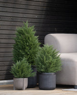 Le conifere artificiali Artificial Conifer UV 40 cm sono posizionate su una terrazza in legno accanto a un divano da esterno grigio chiaro, contro una parete moderna con pannelli in legno scuro.