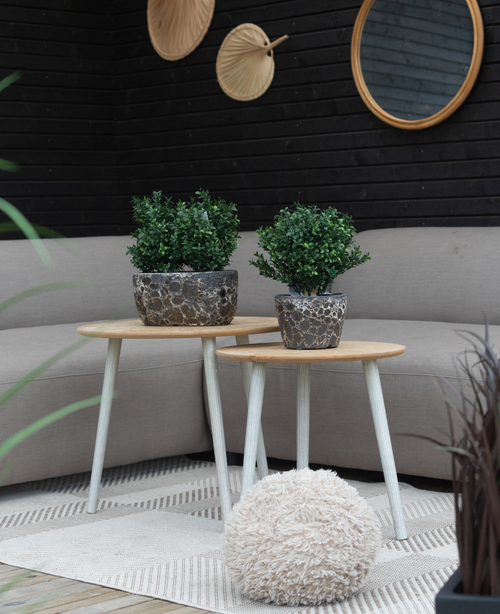 Due tavolini rotondi in legno con pianta artificiale Bosso stile romano UV 36 cm si trovano su un tappeto a motivi geometrici di fronte a un divano beige. Uno specchio rotondo e ventagli decorativi sono appesi su una parete di legno scuro dietro, con un soffice pouf beige sul tappeto.