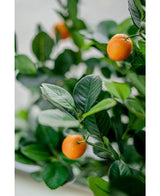 Albero arancione artificiale 120 cm