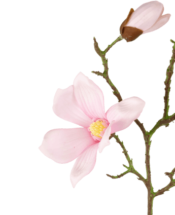 Art Magnolia Real Touch Rosa 72 cm