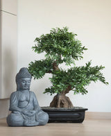 Un bonsai artificiale di 70 cm in un vaso si trova su una superficie di legno accanto a una statua grigia di Buddha seduto, contro una parete semplice e di colore chiaro.