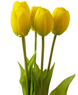 Bouquet di Tulipani finti Real Touch Yellow 40 cm