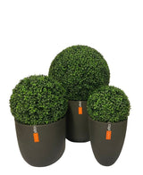 Bulbo artificiale di bosso in stile romano UV D30cm