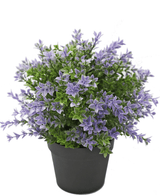 Buxus artificiale viola 22 cm UV