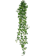 Ciondolo artificiale edera Boston 180 cm verde