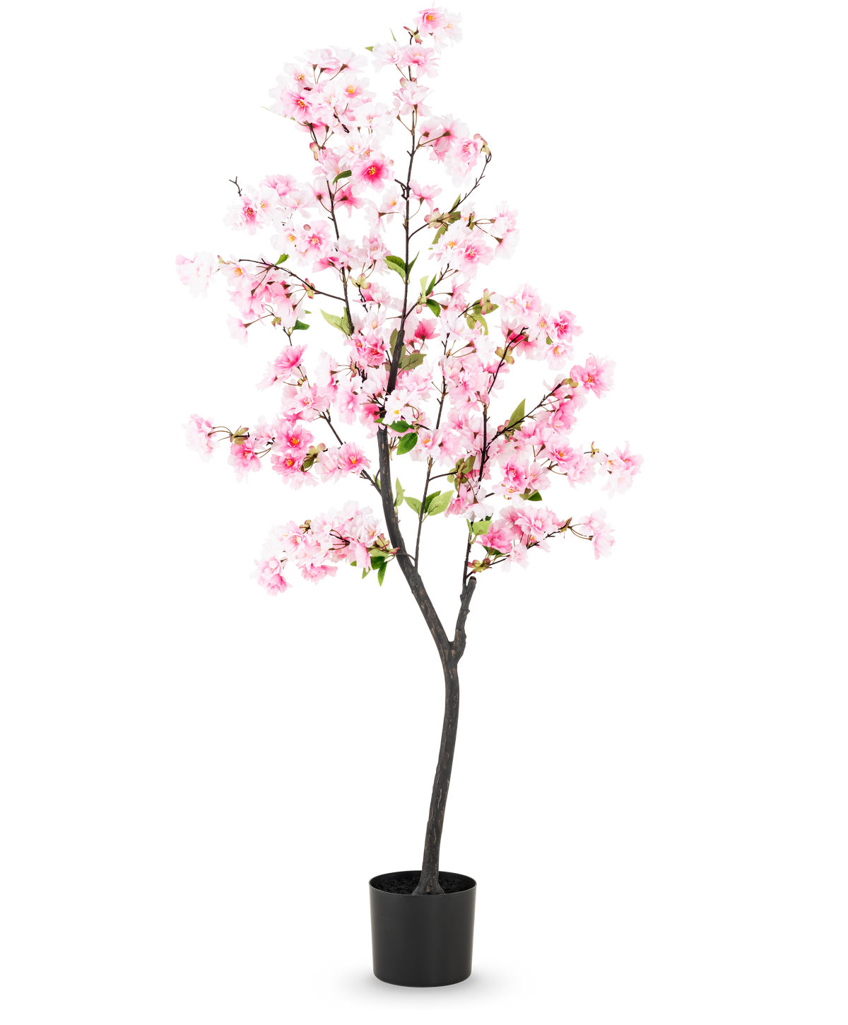 Il fiore di ciliegio artificiale rosa da 150 cm ha fiori di seta rosa e foglie verdi in un vaso nero, su uno sfondo bianco a tinta unita.
