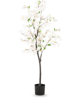 Il fiore di ciliegio artificiale bianco da 150 cm è un alto ciliegio artificiale con delicati fiori bianchi e piccole foglie verdi in un semplice vaso nero, raffigurato su uno sfondo chiaro.