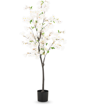 Il fiore di ciliegio artificiale bianco da 150 cm è un alto ciliegio artificiale con delicati fiori bianchi e piccole foglie verdi in un semplice vaso nero, raffigurato su uno sfondo chiaro.