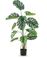 La pianta artificiale Monstera da 120 cm è un finto monstera alto in vaso con grandi foglie verdi lucide con fori e crepe dall'aspetto naturale, su uno sfondo bianco semplice.