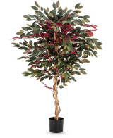 La pianta artificiale Ficus verde/rosso 150 cm ha un tronco marrone chiaro contorto, foglie verdi e bordeaux e viene fornita in un vaso nero - ideale come pianta d'appartamento sorprendente su uno sfondo bianco.