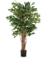 La pianta artificiale Ficus Liana da 120 cm ha tronchi marroni intrecciati e foglie verdi lussureggianti in un vaso nero, che la rendono una scelta elegante per qualsiasi collezione di ficus o esposizione di piante da ufficio.