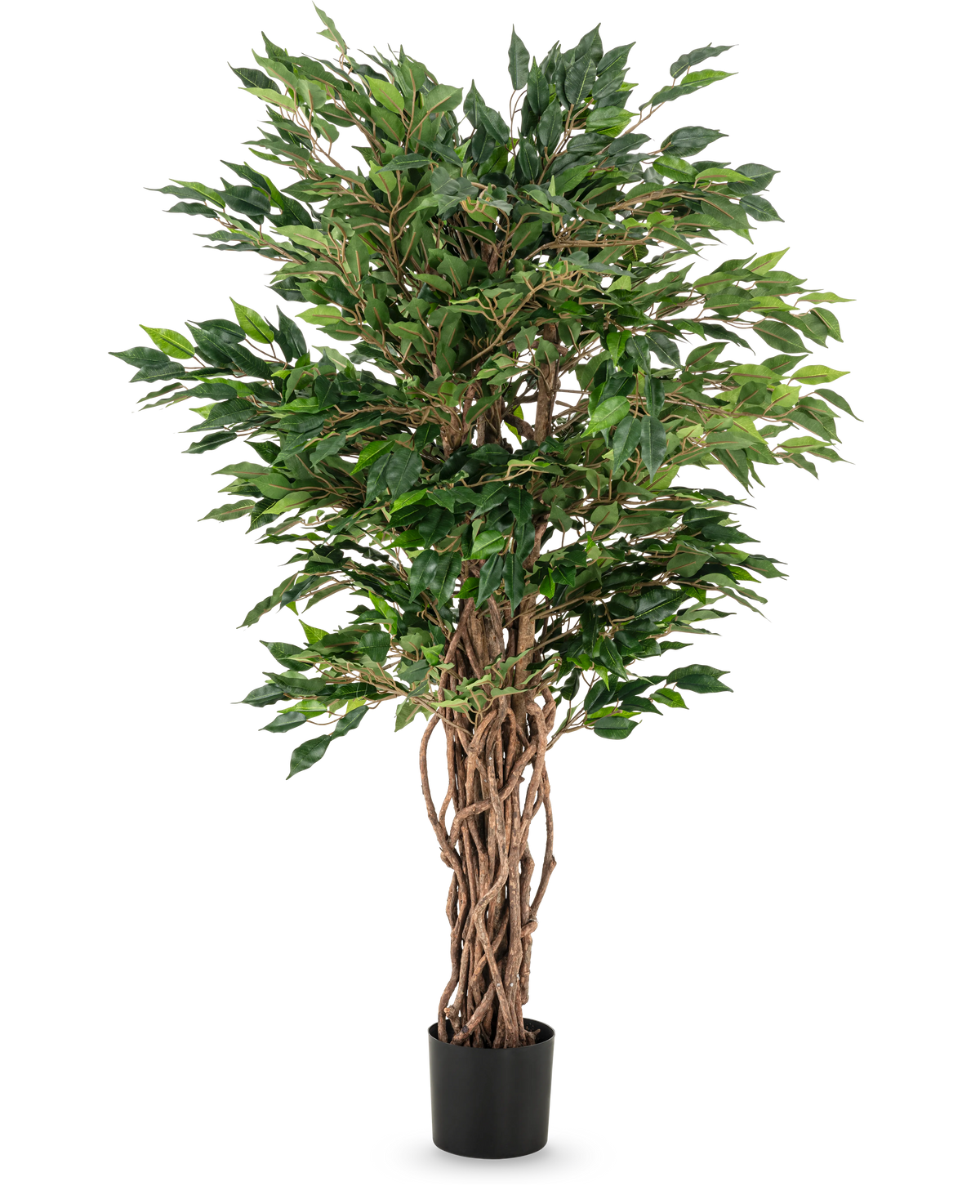 La pianta artificiale Ficus Liana da 120 cm ha tronchi marroni intrecciati e foglie verdi lussureggianti in un vaso nero, che la rendono una scelta elegante per qualsiasi collezione di ficus o esposizione di piante da ufficio.