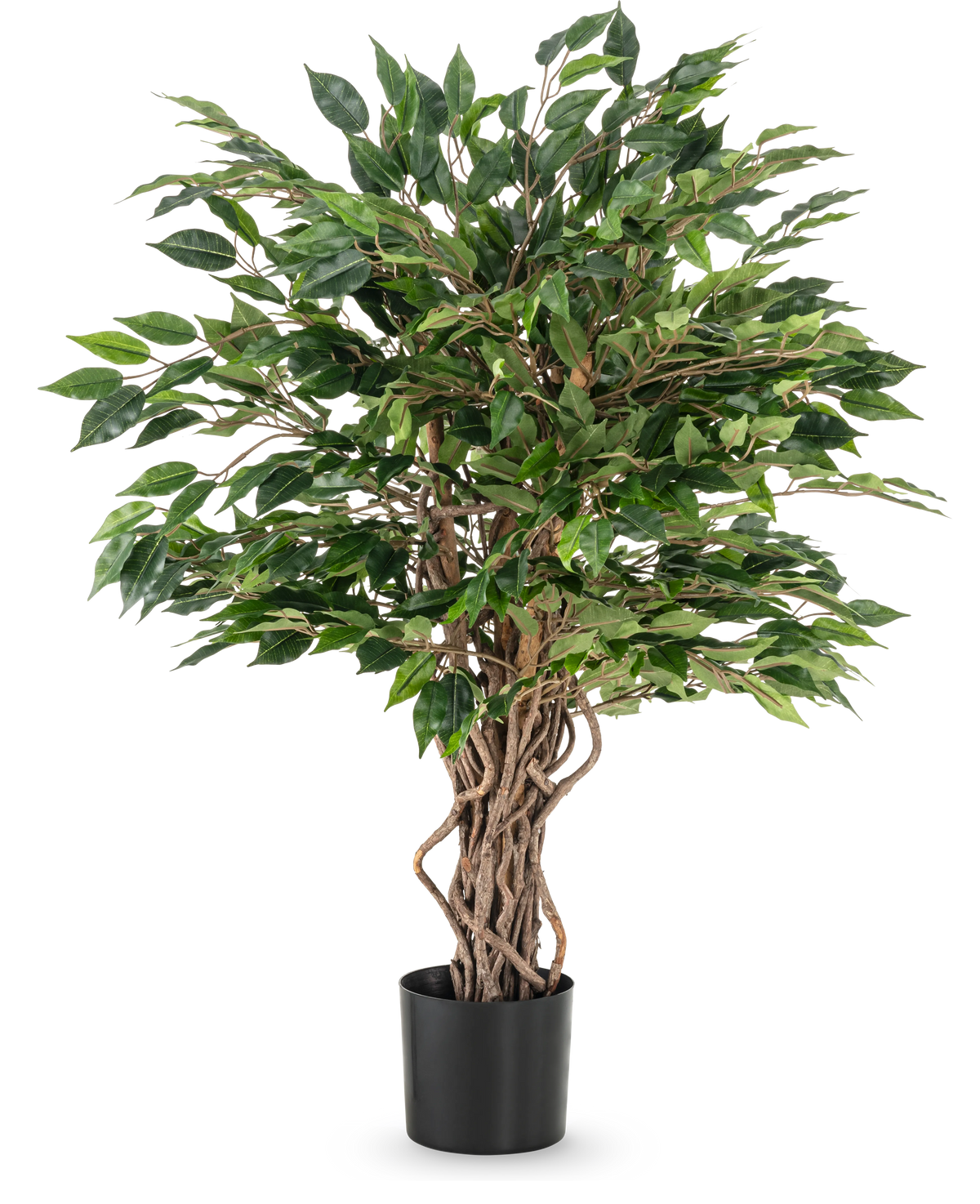 La pianta artificiale Ficus Liana 90 cm ha tronchi marroni contorti e foglie verdi dense in un vaso nero, ideale come pianta da ufficio o per qualsiasi collezione di ficus, raffigurata su uno sfondo bianco.