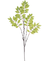 Illustrazione ad acquerello di una felce artificiale ramificata di 83 cm di colore verde, con un sottile ramo marrone con tre steli e grappoli di foglie verdi vivaci su sfondo bianco.