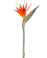 Il fiore artificiale Strelitzia 86 cm rosso/viola ha vivaci petali rossi e viola su un lungo stelo verde, presentato come un unico fiore artificiale che non richiede manutenzione, isolato su uno sfondo bianco.