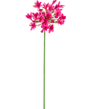 Il fiore artificiale Agapanthus rosa da 77 cm ha un unico stelo verde con molteplici mazzi di fiori rosa brillante, ciascuno con più petali, su uno sfondo bianco semplice.