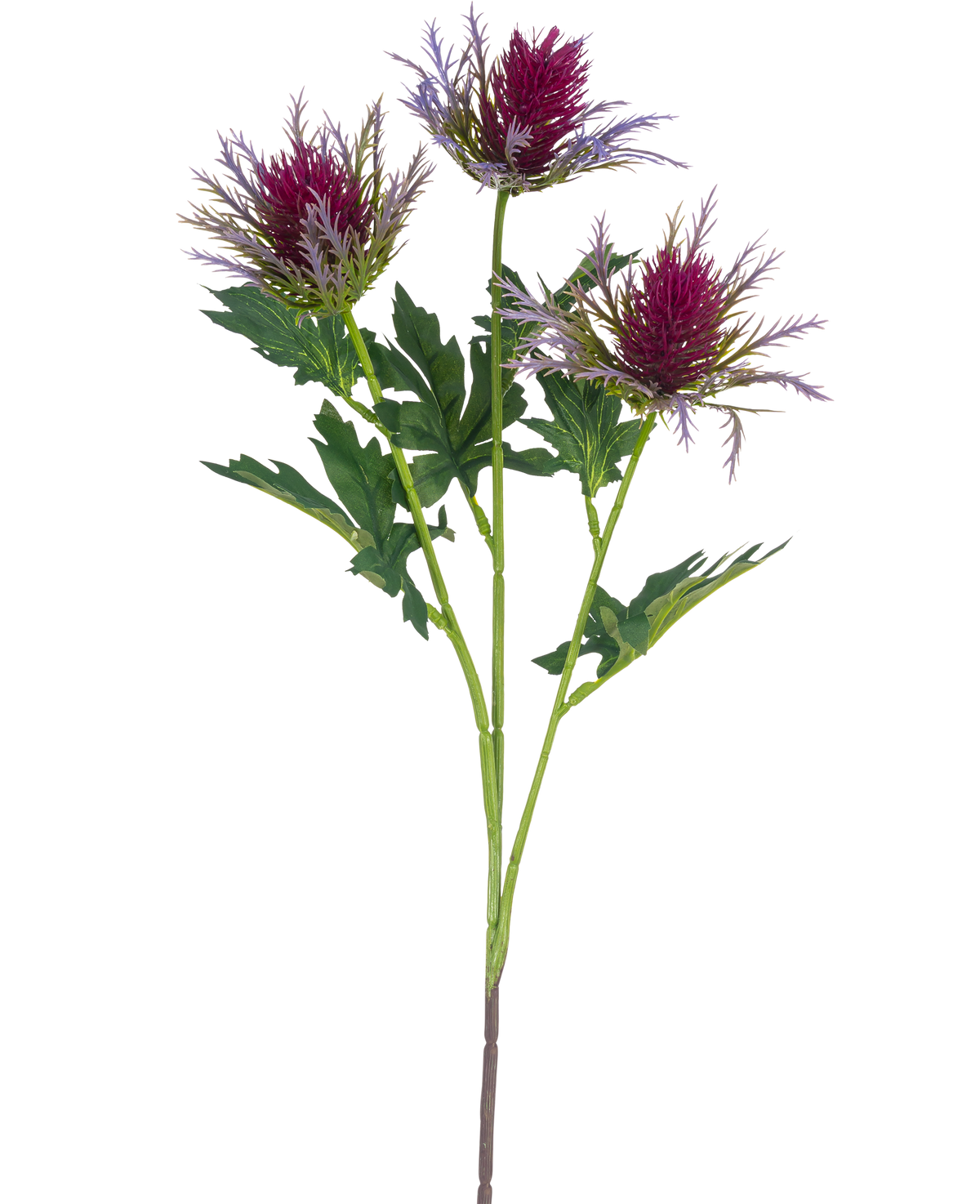 Il cardo ramo artificiale viola da 67 cm ha un unico stelo con tre fiori appuntiti simili a cardi viola e foglie verdi irregolari su uno sfondo bianco.