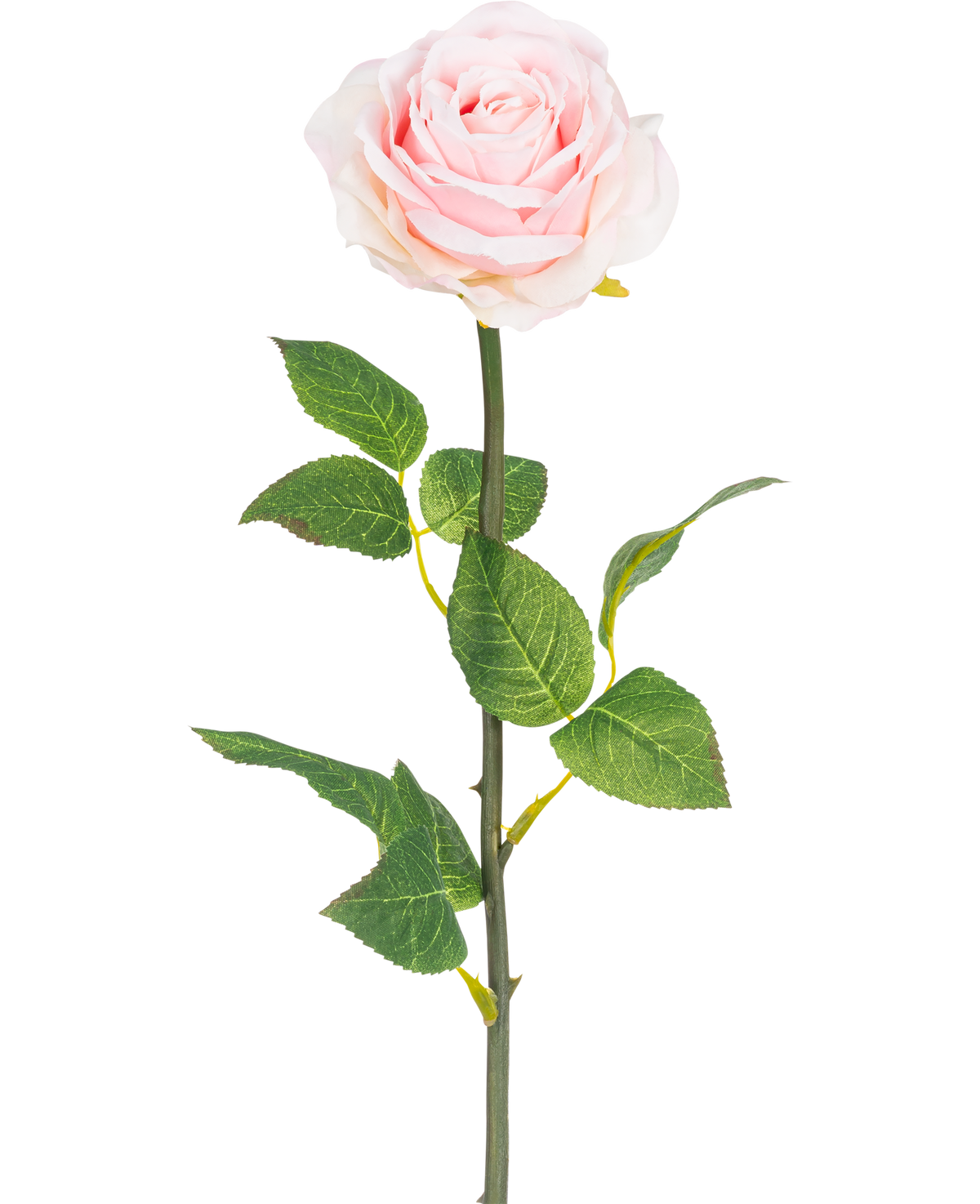 Una classica rosa artificiale, alta 55 cm, in rosa chiaro con foglie verdi - Fiore artificiale rosa classica 55 cm rosa chiaro.