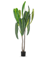 La pianta artificiale Anthurium da 210 cm ha foglie verdi alte e rigogliose e due steli marroni in un piccolo vaso nero, su un semplice sfondo bianco.
