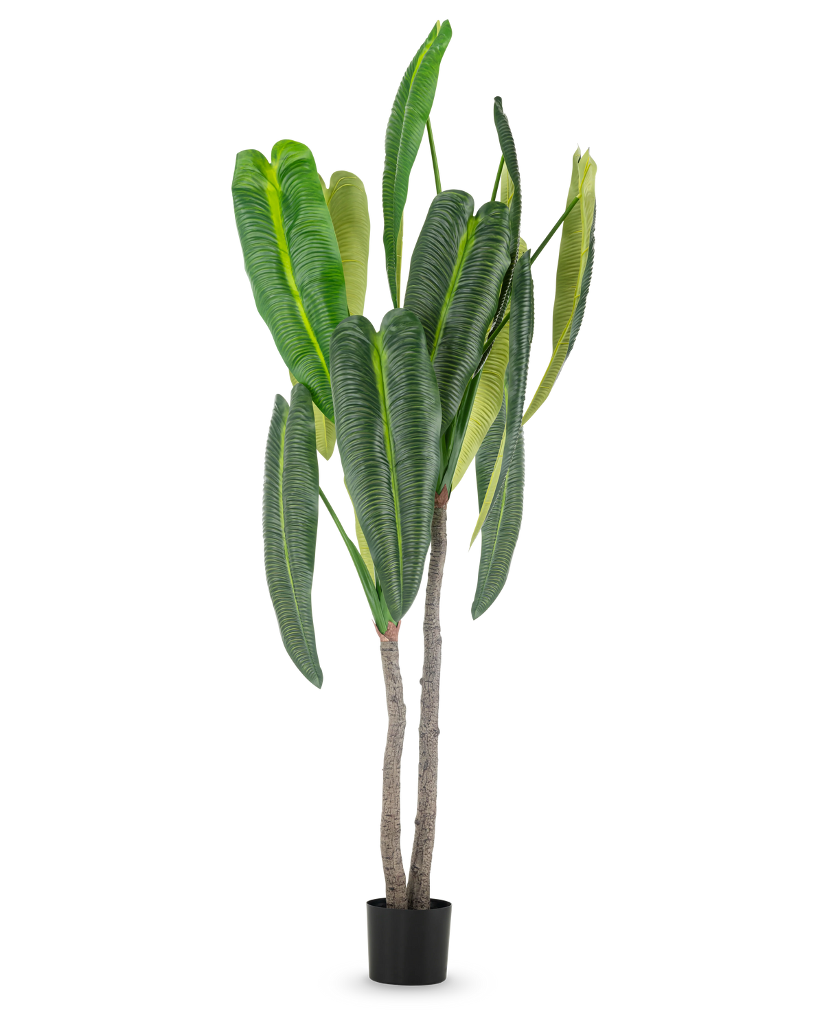 La pianta artificiale Anthurium da 210 cm ha foglie verdi alte e rigogliose e due steli marroni in un piccolo vaso nero, su un semplice sfondo bianco.