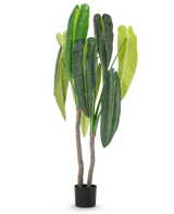 La pianta artificiale Anthurium 180 cm ha due steli marroni e grandi foglie verdi allungate in diverse tonalità, in un piccolo vaso nero su sfondo bianco.