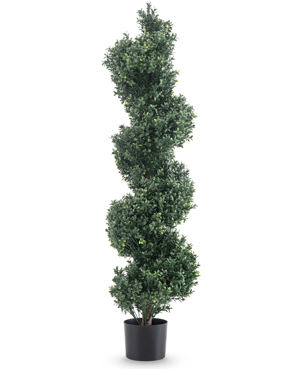 La spirale artificiale in legno di bosso stile romano UV 120 cm è una topiaria artificiale con fitte foglie a spirale verdi, in un semplice vaso nero e su uno sfondo bianco.