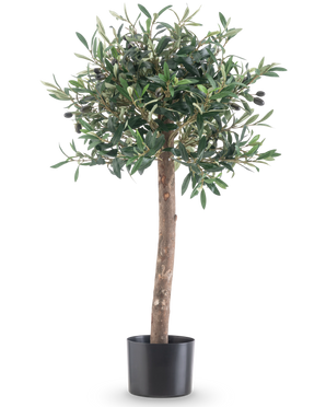 L'olivo artificiale UV 85 cm ha un tronco dritto, foglie verdi fitte e piccole olive nere. Questa pianta artificiale di facile manutenzione in vaso nero rimane sempre bella ed è perfetta per interni ed esterni grazie alla sua resistenza ai raggi UV.