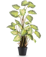 La pianta artificiale Alocasia Odora 90 cm ha grandi foglie verdi a forma di cuore e steli multipli in un semplice vaso nero, su uno sfondo bianco a tinta unita.