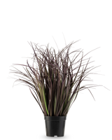 La pianta erba artificiale Wild Lawn 50 cm ignifuga ha foglie alte, strette, viola scuro in un vaso nero su sfondo bianco: un'elegante pianta artificiale ideale per interni moderni.