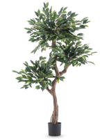 La pianta artificiale Ficus Crazy 150 cm è un albero artificiale alto con tre mazzi di fitte foglie verdi e un tronco marrone contorto, in un semplice vaso nero su sfondo bianco.