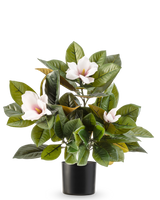 La pianta di magnolia artificiale in vaso da 46 cm è una pianta di facile manutenzione con grandi foglie verdi lucide e tre fiori rosa chiaro con un cuore giallo, in un semplice vaso nero su sfondo bianco.