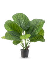 La pianta artificiale Calathea 46 cm è una pianta da vaso con foglie verdi grandi e larghe che mostrano strisce sorprendenti di colore verde chiaro e scuro, raffigurate su un semplice sfondo bianco.