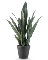 La pianta artificiale Sansevieria Zeylanica 44 cm ha foglie verdi lunghe ed erette con motivi colorati, presentate in un semplice vaso nero su un semplice sfondo bianco.