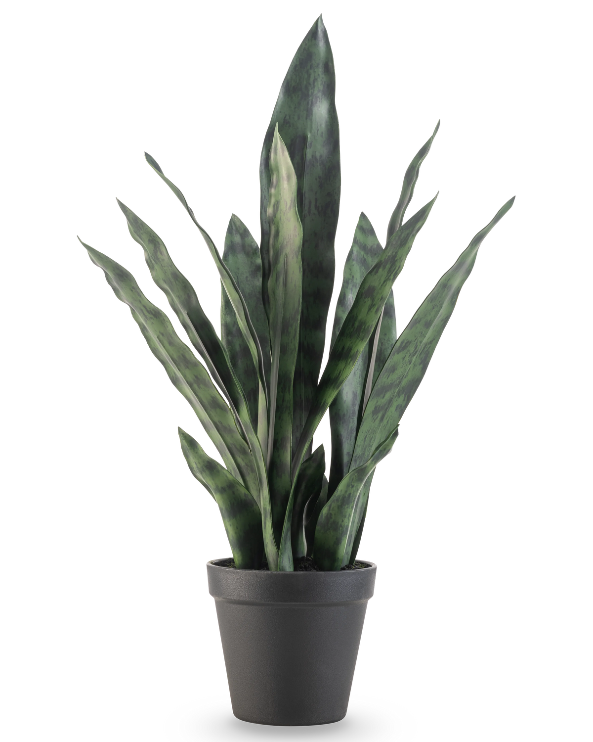 La pianta artificiale Sansevieria Zeylanica 44 cm ha foglie verdi lunghe ed erette con motivi colorati, presentate in un semplice vaso nero su un semplice sfondo bianco.