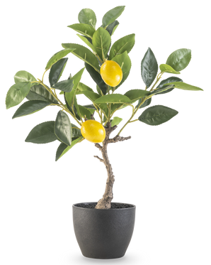 L'albero di limone artificiale da 40 cm in vaso decorativo nero ha foglie verdi e due limoni gialli maturi in un vaso con struttura nera, perfetto da esporre su uno sfondo bianco.