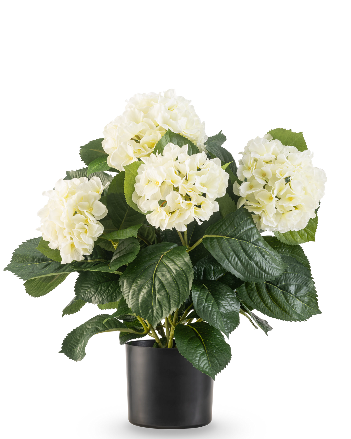 La pianta bianca artificiale di ortensia UV da 43 cm ha foglie verdi lussureggianti e grandi fiori di ortensia bianchi in un vaso nero, su uno sfondo bianco semplice.
