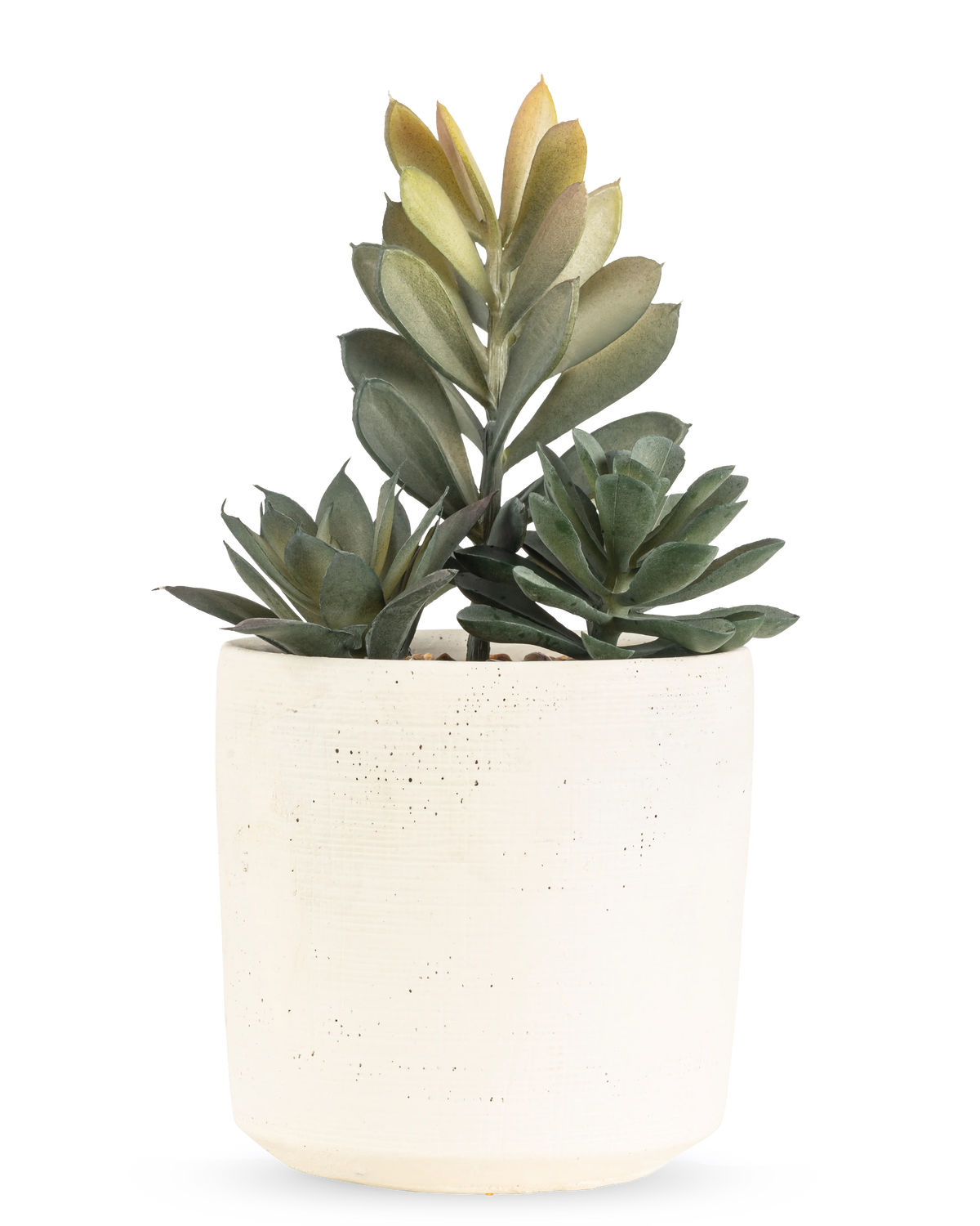 La pianta succulenta artificiale da 20 cm ha una pianta succulenta compatta con foglie verdi lussureggianti in un vaso semplice dalla consistenza bianco sporco, su uno sfondo bianco semplice.