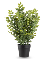 La pianta artificiale verde da 35 cm è una pianta artificiale realistica in vaso con foglie verdi lussureggianti in un semplice vaso nero, raffigurata su un semplice sfondo bianco.
