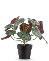 La pianta artificiale Saxifraga da 27 cm ha foglie verdi con venature bianche e parti inferiori rosso-viola, presentate in un semplice vaso nero su uno sfondo bianco.