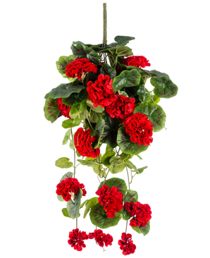 La pianta pensile artificiale Geranio 75 cm rosso ha vivaci fiori di geranio artificiale rosso con foglie verdi lussureggianti che cadono elegantemente verso il basso.