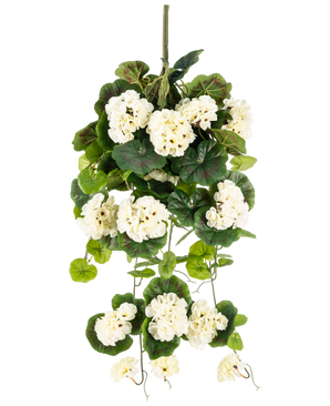 La pianta pensile artificiale Geranio 75 cm bianco è una pianta pensile artificiale con mazzi di fiori bianchi e foglie verdi, verticali su uno sfondo bianco a tinta unita.