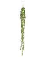 La pianta pensile artificiale Senecio 91 cm ha fili lunghi e sinuosi con piccole foglie verdi rotonde, che pendono verticalmente su uno sfondo bianco a tinta unita.