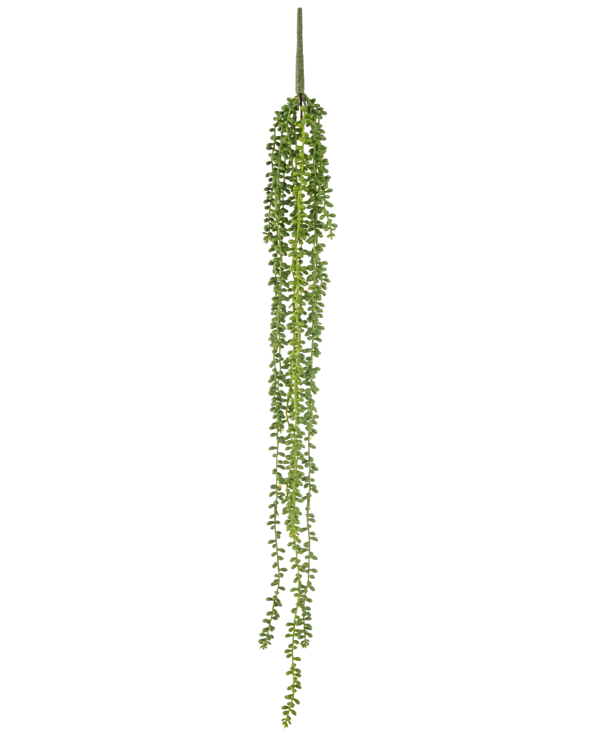 La pianta pensile artificiale Senecio 91 cm ha fili lunghi e sinuosi con piccole foglie verdi rotonde, che pendono verticalmente su uno sfondo bianco a tinta unita.