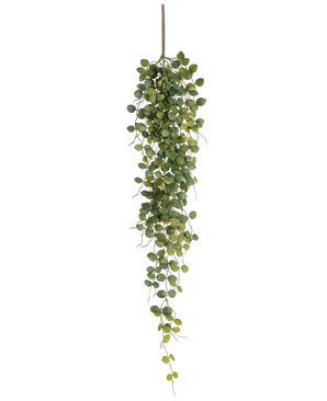 La pianta pensile artificiale Pumila 96 cm ha piccole foglie verdi rotonde che pendono da uno stelo marrone, creando un effetto finale realistico. Raffigurata su uno sfondo bianco, questa pianta artificiale aggiunge verde senza manutenzione.